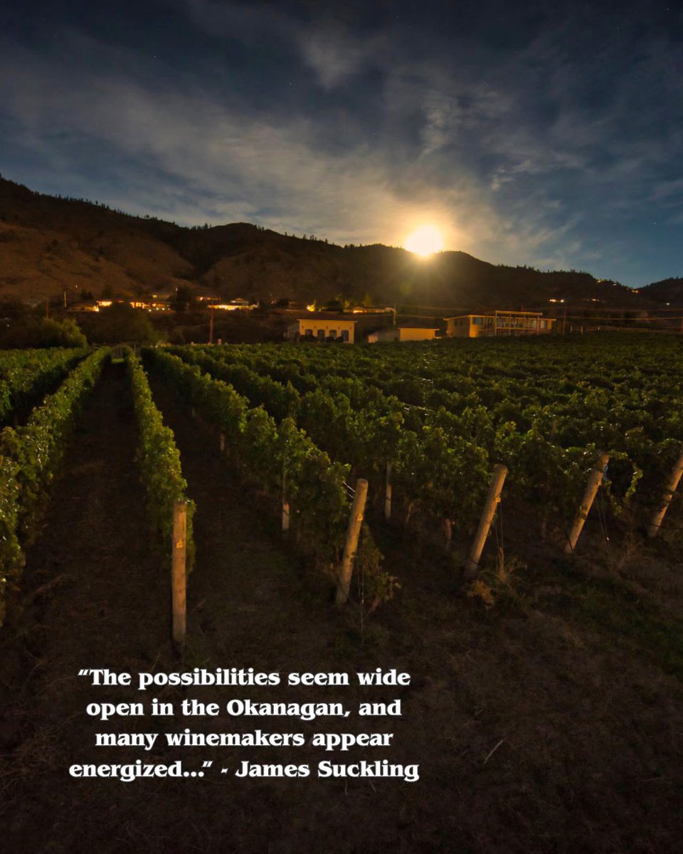 mooncurser's tweet photo. ✨ INTERNATIONAL ACCLAIM ✨ // Elated that Moon Curser’s wines were rated so highly by one of the world’s leading wine critics @JamesSuckling who visited British Columbia last month!

We’ve always felt that the possibilities are wide open in the Okanagan.
🔽 https://t.co/Tu1TTdMflO