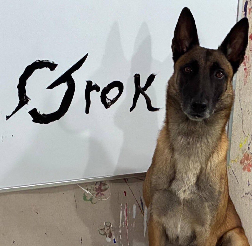 xmav00's tweet photo. @DipWheeler $monkey the painting dog https://t.co/M1j1cprmJ2