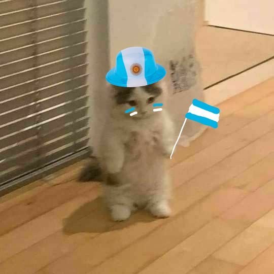 Moonnie007's tweet photo. Tercer gol de Argentinaaaaaa GOOOOOOOOOOOOOOOL HPTA.
GOOOOOOOOOOL https://t.co/Z9EzOcHhw3