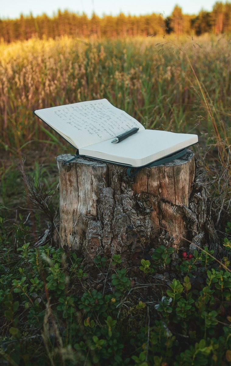 awpwriter's tweet photo. Summer is the perfect time to try out something new with your writing, so why not try these prompts from @lexirosenwrites, Mitchell Nobis, and @heatherkfrese? Members and subscribers can access the Prompted column in every issue of THE WRITER’S CHRONICLE. https://t.co/aKnWzqvFGd https://t.co/ab31TvXydC