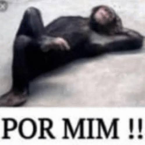 sendycout's tweet photo. @Juliana45545731 @fvsbia @paulamatthaus Tinha que morrer mesmo, não só ele, mas todos dessa seleção https://t.co/7SaNZHyxFj