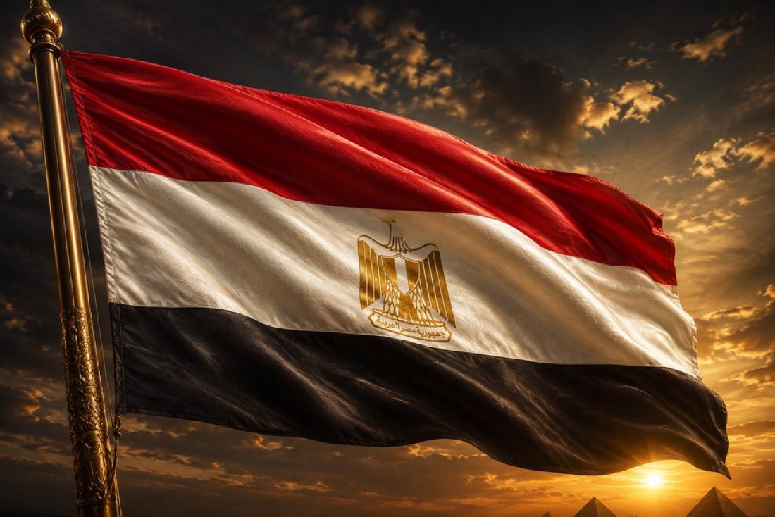 قورجس tweet media