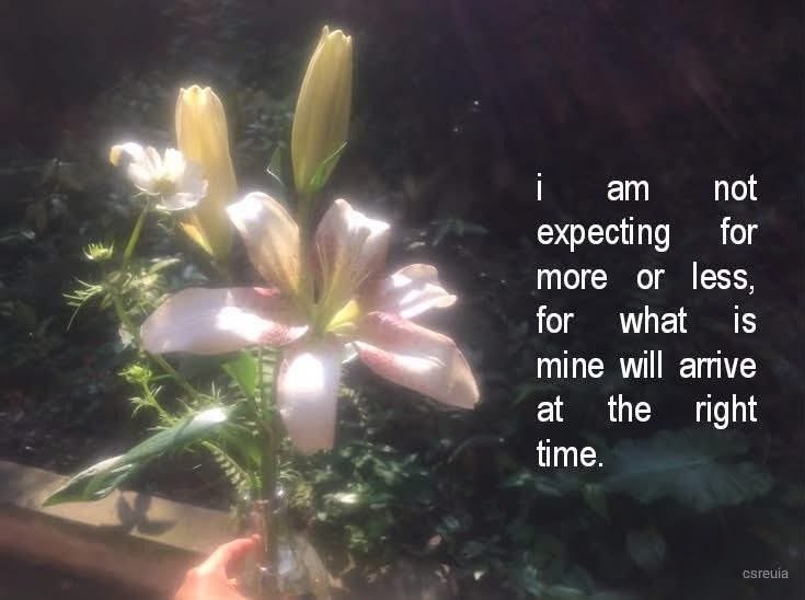 WordsCocoon's tweet photo. what is mine will arrive at the right time. https://t.co/hyFCAZBE9D