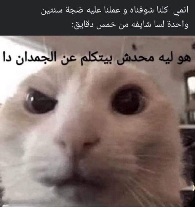 𝐑𝐈𝐍𝐀 tweet media