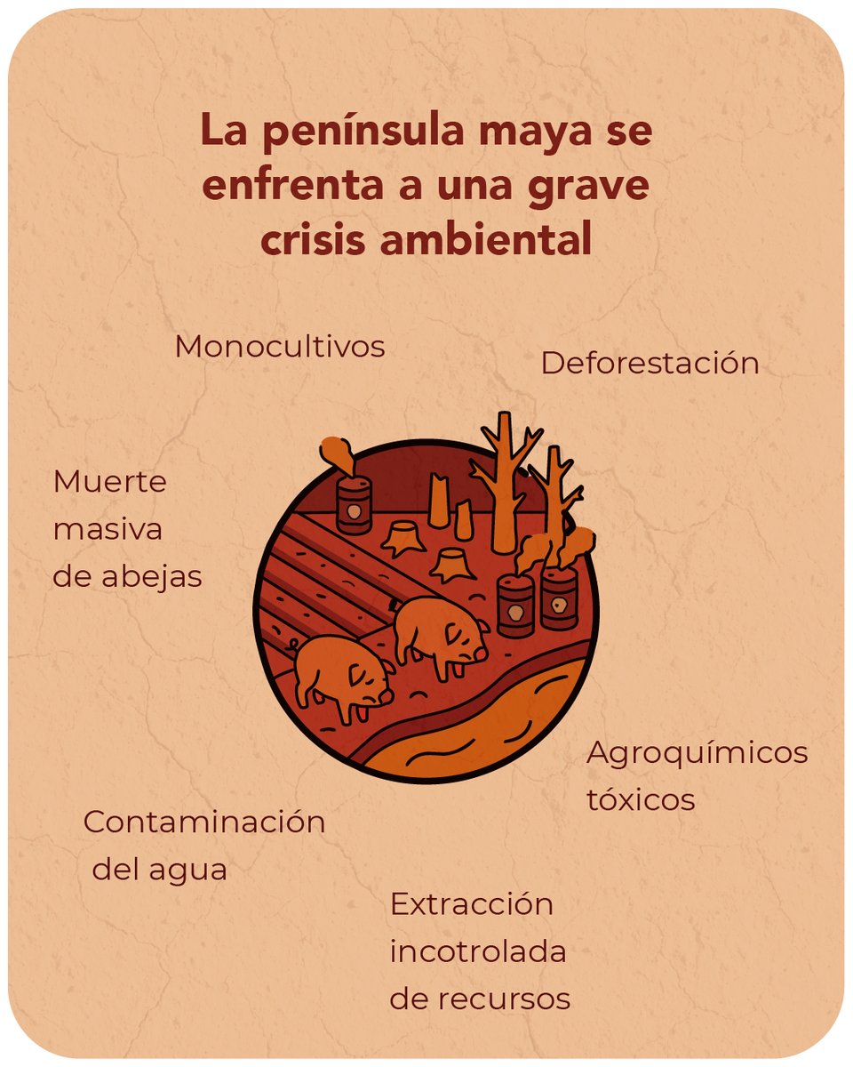 Utsil_Kuxtal's tweet photo. Hoy, la península maya se ve gravemente amenazados por mega granjas de cerdos y monocultivos que destruyen la selva y contaminan el agua.

Exhortamos a la @SCJN y a sus ministros  a que reconozca los derechos de la península maya y sus pueblos. https://t.co/geVkTtkNq1