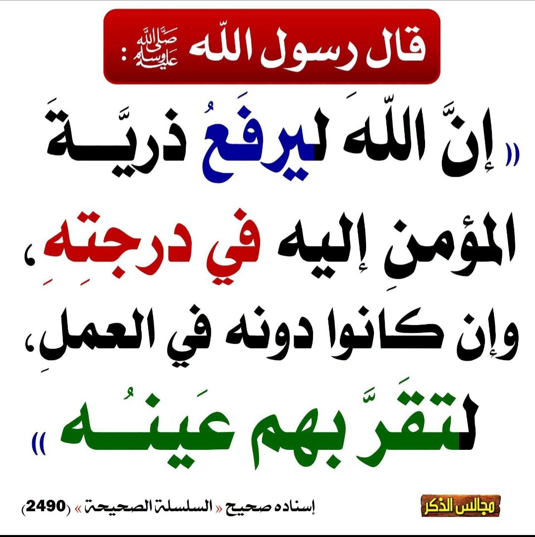 Salafiya_M's tweet photo. 🌻🌻 https://t.co/DExtsSu1mQ