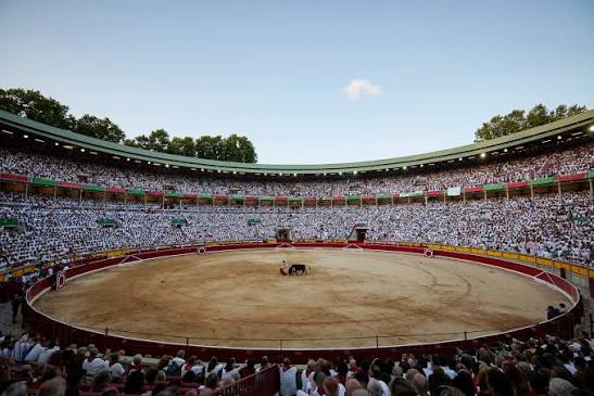 rafaelelpipo's tweet photo. Es imperdonable tal está la tauromaquia en 2026, no haya "pacto de amor", por dar visibilidad a la feria del toro.
San Fermín es un escaparate internacional( lo máximo), para dejarlo perder en la desidia taurina.

LO QUE NO SE VE, NO EXISTE...

PD:Estamos regalando batallas... https://t.co/uzLy1ouJdJ