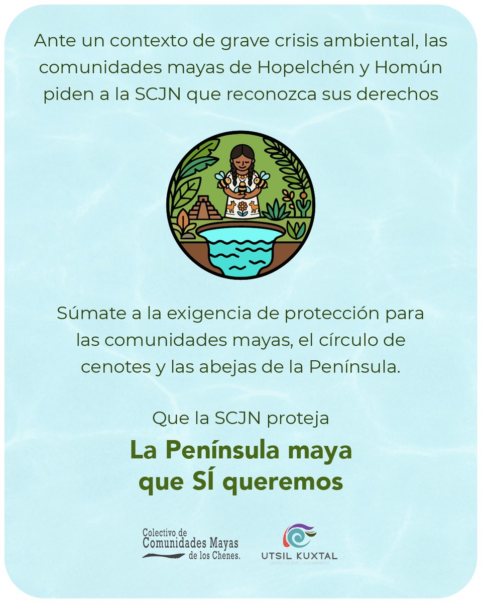 Utsil_Kuxtal's tweet photo. A la sociedad que vive en la península de Yucatán, les invitamos a estar pendientes de que se reconozcan y cuiden los derechos de nuestra tierra 🌼 y de nuestras infancias. https://t.co/EncsFqP3GB