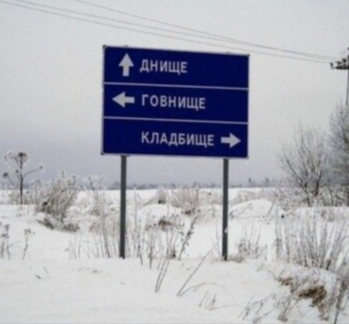 Kcesha333's tweet photo. Если инфолд не выпустят Валко 9 июля, то у них только 3 пути.

#BringValkoBack #SaveValko #JusticeForValko #WEWANTVALKO #WeNeedValko #KeepValkoAlive https://t.co/nWGntCuyvj