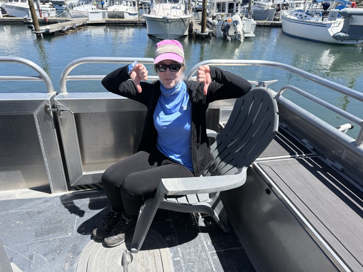 Pacific Whale Watch Association 🐳 tweet media