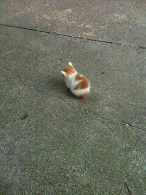 esquiloooooooo_'s tweet photo. Esperando a vontade de desenhar  voltar para o meu corpo https://t.co/JsR0QjbfuF