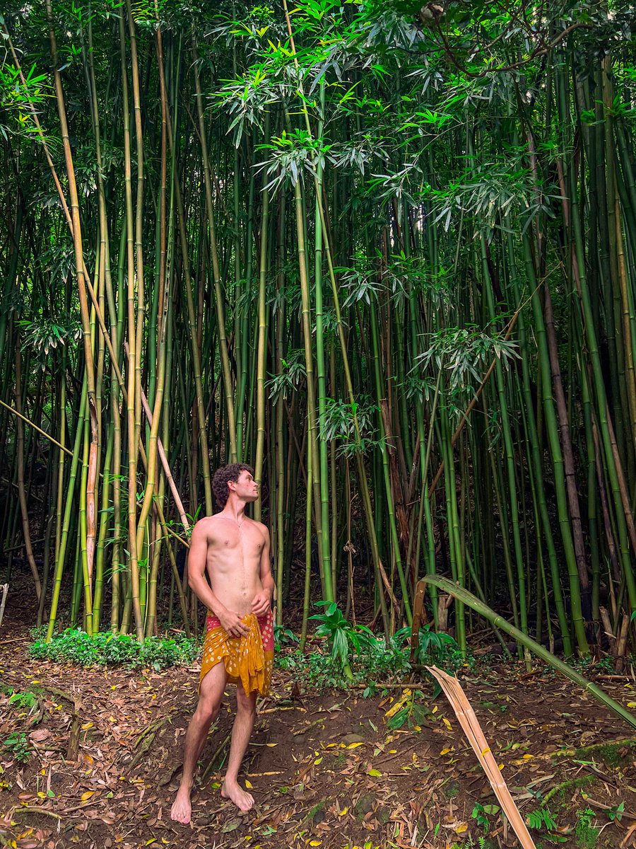 JunglexJacob's tweet photo. As nature intended 😌 https://t.co/HRrRcUrGMp