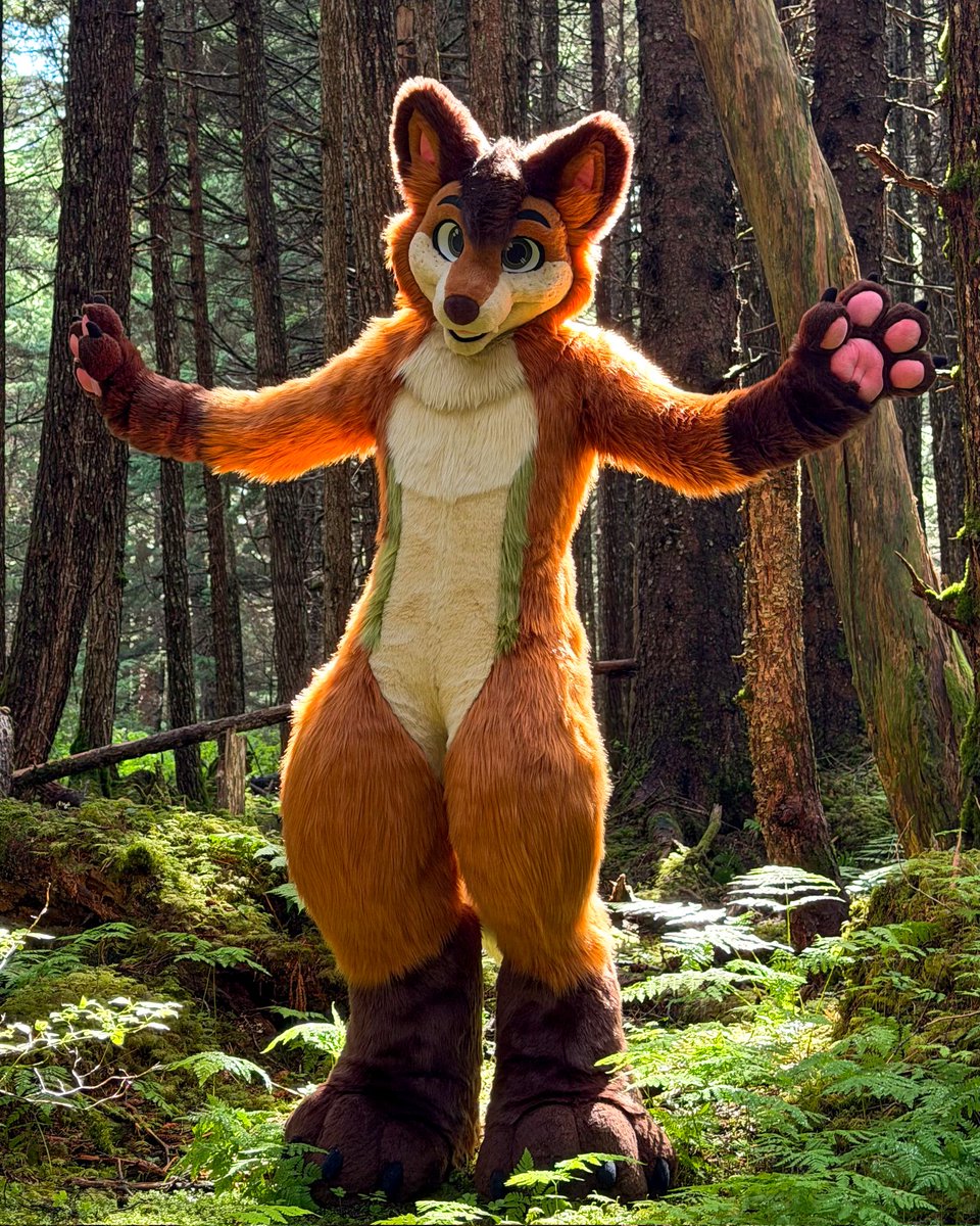 Timber tweet media
