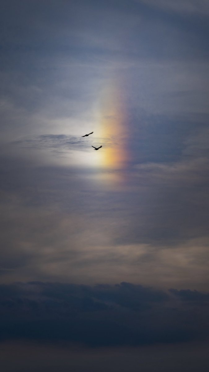 ArtFromAbove's tweet photo. GM

I’m taking a break

‘Guardians of the parhelion’

📷 0.0123 eth
Limited edition

Be the first to mint😍 https://t.co/jkjiXLE8zi