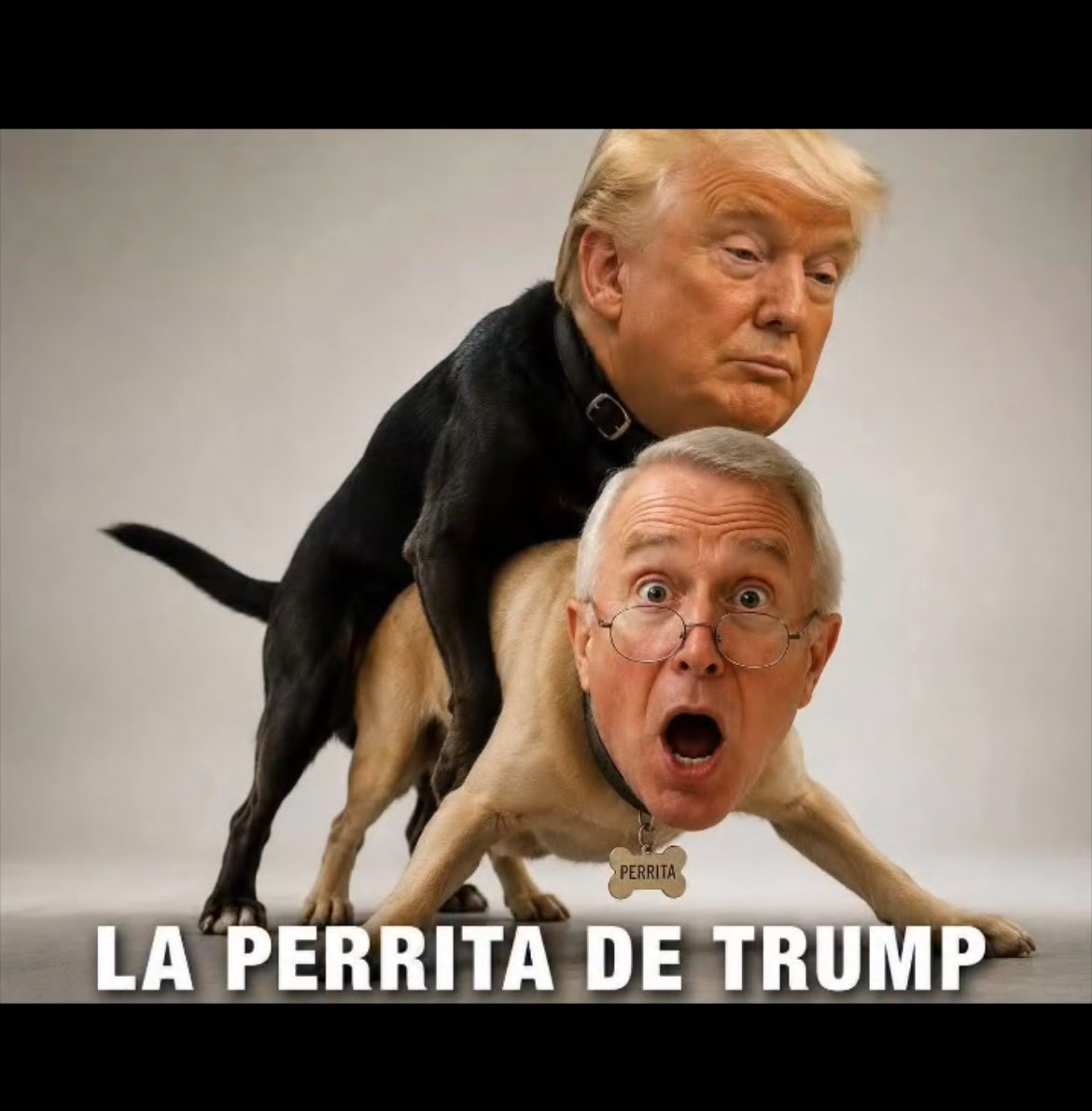 Fabiojk07's tweet photo. @MemoSalinas https://t.co/GODiDt5z87