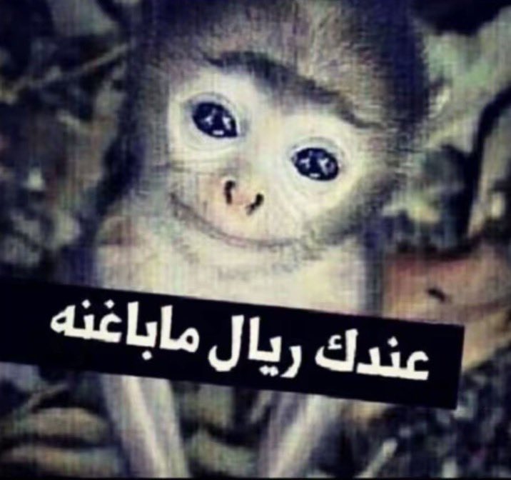 i5cyi3's tweet photo. قبل شوي صارلي اكثر موقف فقير 
جيت ارجع قطعة فالسوق والحساب كان١٤٩ والكاشير بنت قالت لي ادفع ريال وبعطيك ١٥٠
وأجي احاسب وتطلع مرفوضه ماعندي ولا ريال 
قلت دقيقة بروح اشيك فالسيارة قالت لاخلاص مايحتاج ودفعت هي https://t.co/CLFLIaBjiU