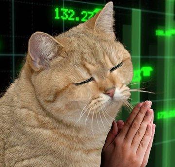 TheStareCat's tweet photo. we are talking with granny 

patience she is an elder  

up only soon https://t.co/szLgFkxRLE