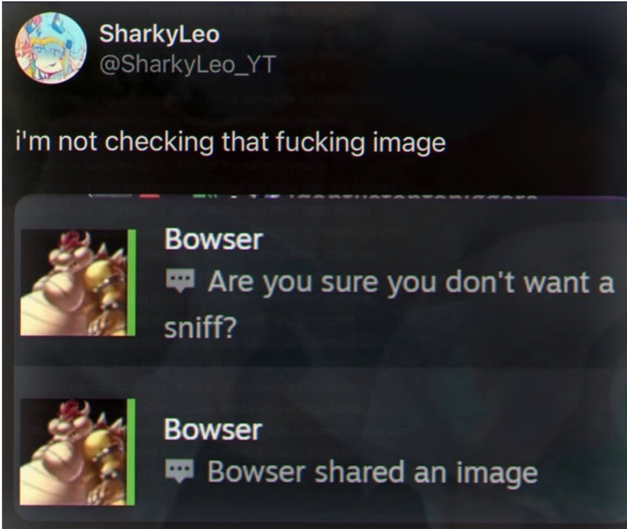 SharkyLeo tweet media