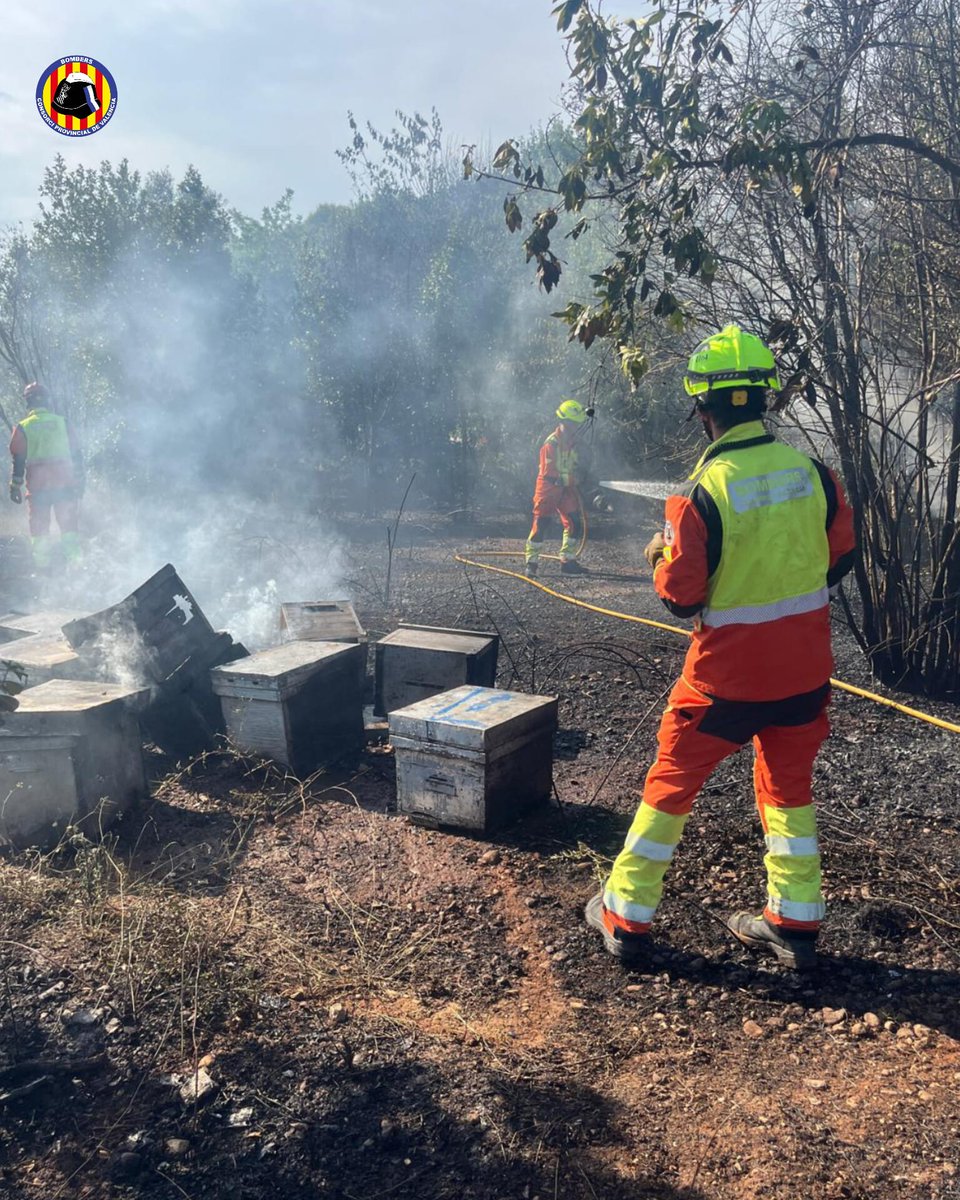 BombersValencia's tweet photo. #OnadadeCalor #Incendis. Fins a les 20:00 h els @BombersValencia ens hem mobilitzat a 25 avisos per incendis, 2 d'ells per llamps caiguts a les tempestes de l'interior de València, #IFYesa #IFChera, ja extingits. La resta són incendis de vegetació, matolls i camps perduts https://t.co/Xpr8TzV6Rc
