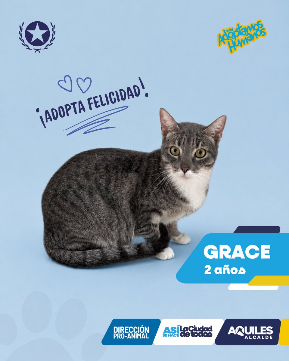 Proanimal_gye tweet picture