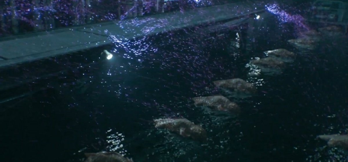 JillJVF96's tweet photo. The powerful antibodies #JillValentine made between #RE3 &amp; #RE5 are also proved in #REDeathIsland she's able to swim in new T variant culture.

Her blood's the closest thing to Elpis n I cant get how #RErequiem doesn't even mention it.
#ResidentEvil #REBHFun #RE9 #バイオハザード https://t.co/2C0zAJ3Ufj