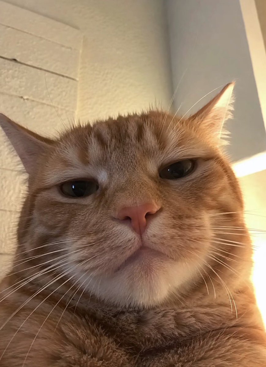 twaniimals's tweet photo. https://t.co/zGdkmkr5xK