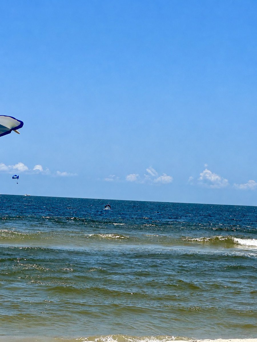 kaylaadailey's tweet photo. Orange Beach today with a little flipping action!🐬 @spann @weswyattweather @RichardWVUA23 https://t.co/thp94rg8zJ