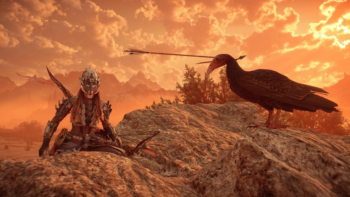 mozkau's tweet photo. #HorizonForbiddenWest #PS5 https://t.co/Dl4gSA3iMu