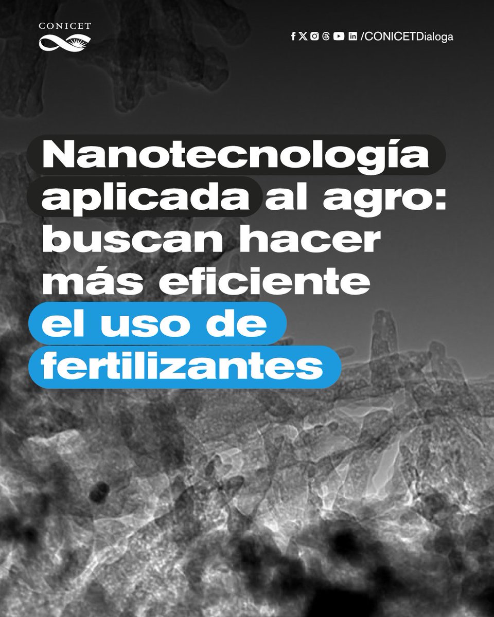 CONICETDialoga's tweet photo. 🟣Científicos del CONICET y la Universidad Nacional del Litoral trabajan en un proyecto para hacer más eficiente el uso de fertilizantes a través del desarrollo de nanocápsulas que puedan contener las nutrientes que necesitan los cultivos.⬇️

🔎Nota https://t.co/aBh5GttwJp https://t.co/lSzcrY1p7b