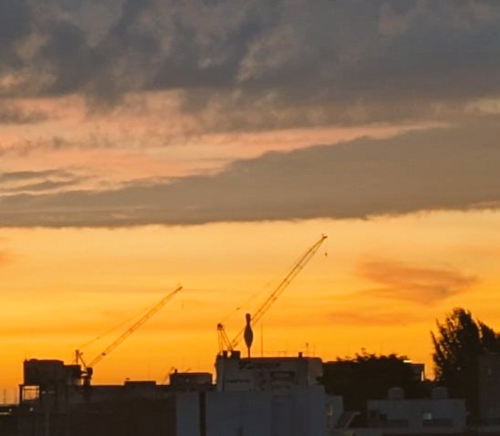 cosmo271's tweet photo. 今日の朝空❗ 7月8日
＃空ネット https://t.co/abzVf3zVLA