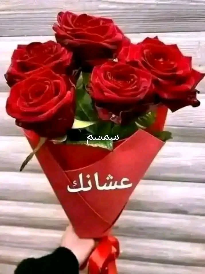 robin_romio79's tweet photo. @SleamSalm89479 https://t.co/1doECKSRMJ