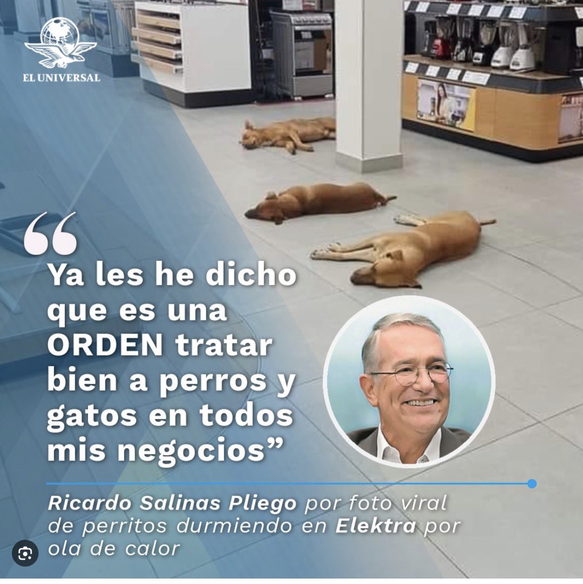Peludos Desamparados tweet media
