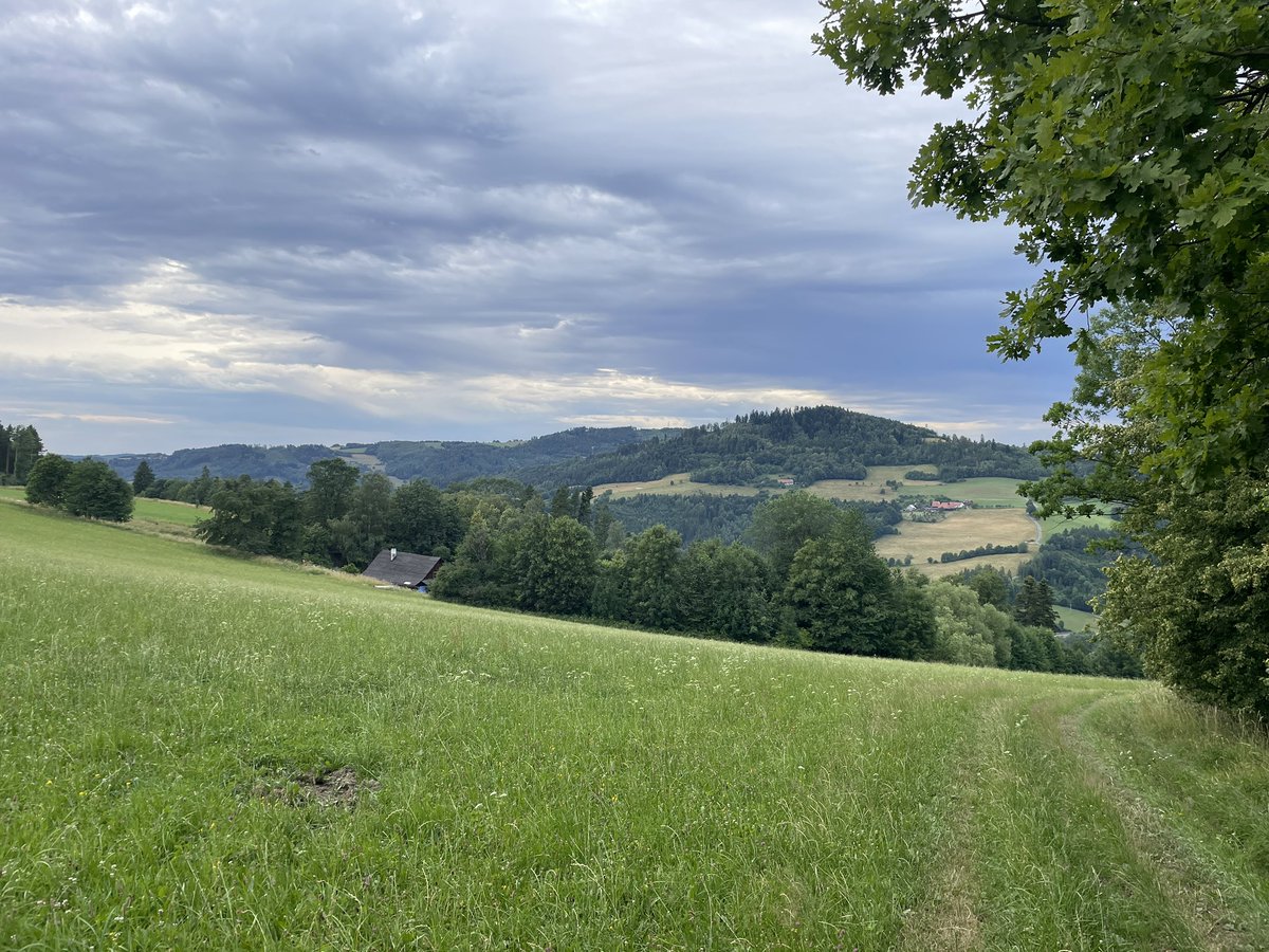 Noblnoch's tweet photo. Úterní procházka. https://t.co/7Nyf87klzo