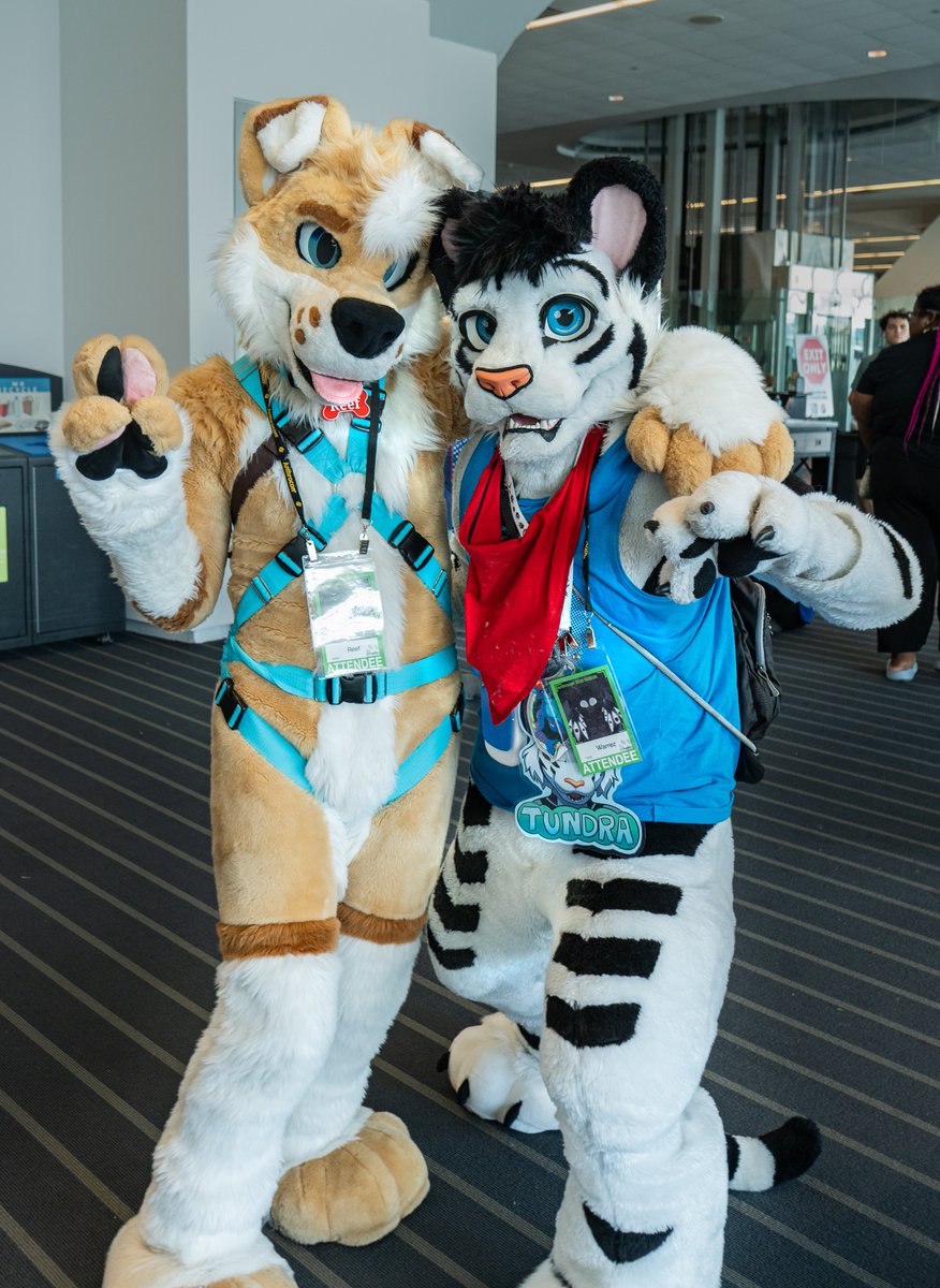 Kjumbo95 tweet media