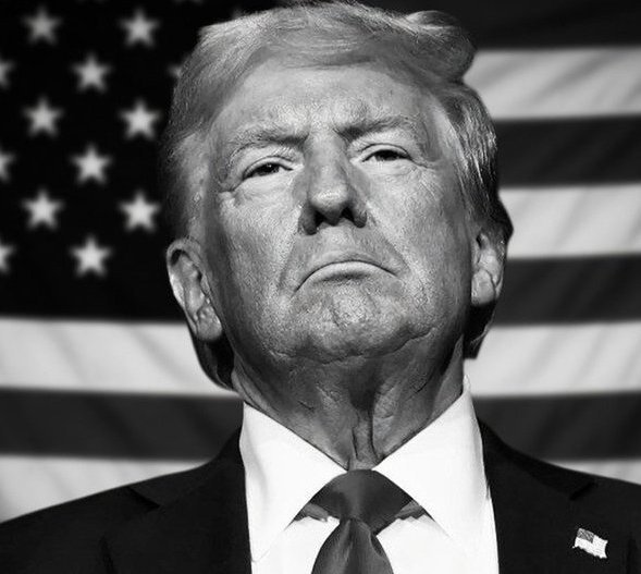 🇺🇲 Robert D melillon 🇺🇲 tweet media