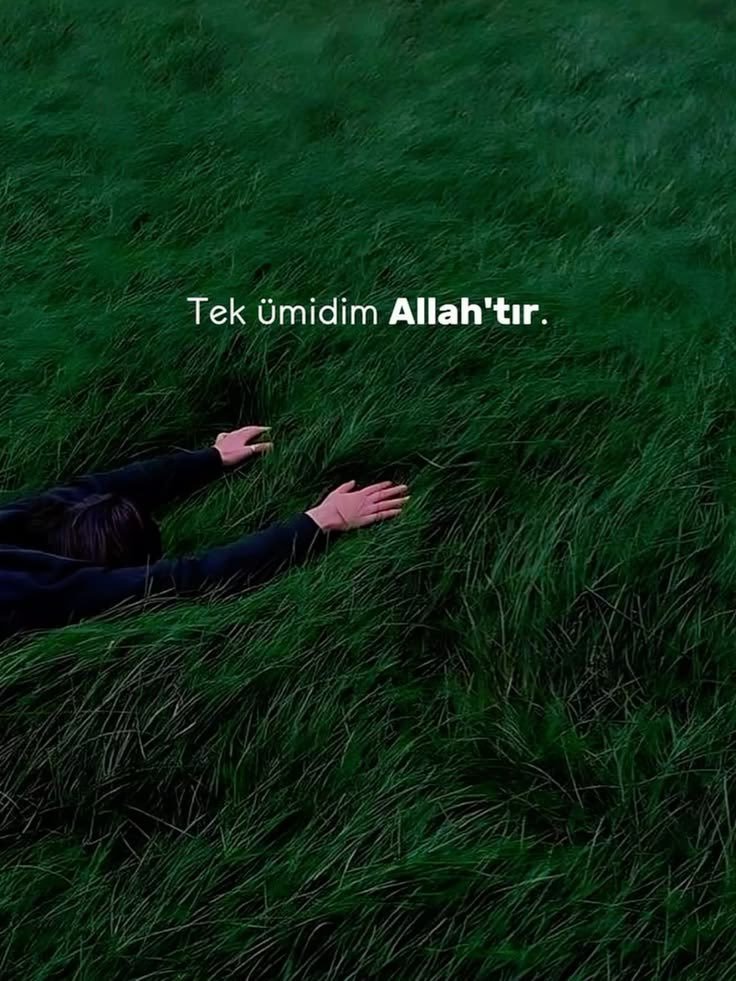 ilssonteuxsair's tweet photo. "Allah daraltır da,ferahlatır da."

Bakara / 245 https://t.co/pbZJHZQOAT