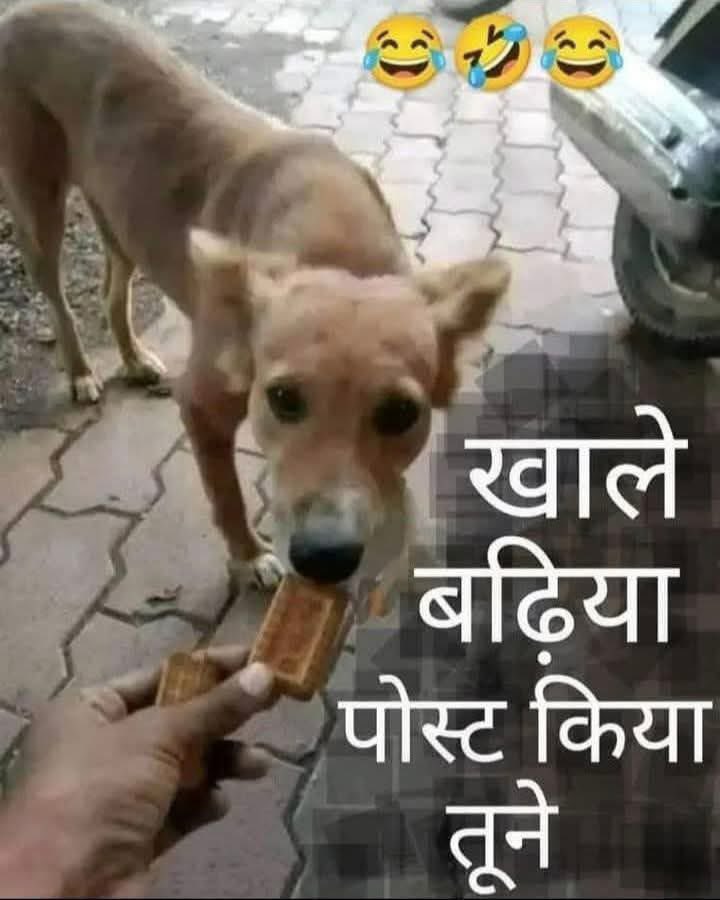sanjitmodak86's tweet photo. @AaishaaSoomro https://t.co/dfZstQrnoa