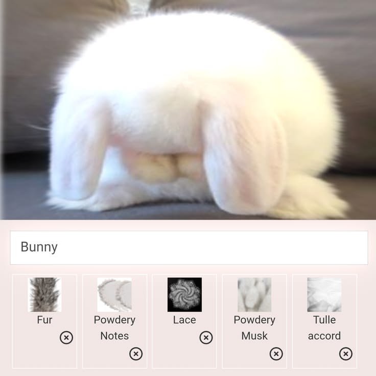 bunnywrenn's tweet photo. https://t.co/ylBlubTrZI