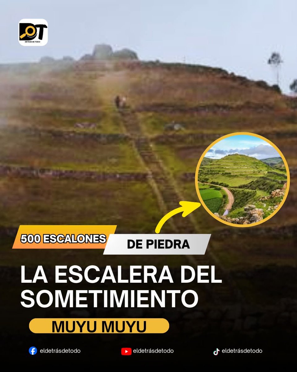 EDICIONESREGION's tweet photo. 1/2
Una escalera de 500 peldaños diseñada exclusivamente para romper el espíritu humano.

No para ayudarte a subir. No para hacer el camino más fácil.
Sino para doblegarte.

Imagínate esto por un segundo:
Tienes que ascender quinientos escalones de piedra esculpida en la mismísima cima de una montaña.
No hay descansos.
No hay barandas.
No hay un "mirador turístico" pensado para que te tomes una foto bonita.

Solo piedra.
Viento cortante.
Altura.
Un agotamiento brutal.
Y una sensación cada vez más intensa de que tú, como ser humano, eres insignificante frente a lo que te rodea.

Eso es Muyu Muyu, el sector más imponente del complejo arqueológico de Sóndor.
Y no, no fue construido por funcionalidad.
Esa es una mirada moderna.
Demasiado moderna.

Cuando vemos una estructura antigua, el chip actual nos hace pensar: "La hicieron para ir de un punto A a un punto B".
Pero en los Andes antiguos, la arquitectura no buscaba tu comodidad. Buscaba provocar. Buscaba imponer. 
Buscaba transformar al que osaba subir.

Muyu Muyu no es solo una obra de ingeniería; es una experiencia psicológica de sumisión.

Quinientos escalones y ocho plataformas monumentales incrustadas en la cordillera, rompiendo cualquier lógica arquitectónica contemporánea.

Ahí está el secreto que casi todos pasan por alto:
El cansancio no era un efecto secundario.
Era el mensaje.

La falta de oxígeno no era un accidente geográfico. Era parte del ritual.
El esfuerzo físico extremo y la vulnerabilidad total te obligaban a llegar a la cima con el cuerpo quebrado.
Y cuando el cuerpo se quiebra, la mente no tiene defensas frente al poder simbólico.

Los antiguos andinos lo sabían perfectamente.
Por eso Muyu Muyu fue una arquitectura de sometimiento físico y psicológico.
Una forma de recordarte, con cada latido desbocado de tu corazón, que estabas entrando en un espacio sagrado donde tú no mandabas.
Mandaba la montaña. Mandaba el paisaje. Mandaban los ancestros.

Pero aquí viene el giro más fascinante de la historia: Después de semejante calvario, cualquiera esperaría encontrar en la cima un palacio gigantesco, una ciudadela o un templo colosal.

Pero no. 
Al llegar arriba, con los pulmones ardiendo, solo encontrabas dos peñascos y un altar.

Muchos dirían:
“¿Todo este esfuerzo para esto?”
Y ahí es donde se equivoca el turista común.
Porque el verdadero dios no estaba en la cima. Estaba al frente.

Toda esta megaestructura fue alineada milimétricamente hacia el valle y la imponente laguna de Pacucha.
Muyu Muyu no se hizo para encerrarte entre cuatro paredes; se hizo para enseñarte a mirar.
Para obligarte a contemplar el territorio como una manifestación viva de lo sagrado.

En los Andes, la religión no se aislaba de la naturaleza. La montaña no contenía al templo:
La montaña ERA el templo.

Y Pacucha no era un simple cuerpo de agua; era una pacarina, el lugar sagrado de donde, según los mitos, brotó el linaje original.
Era memoria, identidad y legitimidad pura.

Entonces, el rompecabezas encaja. 
Los señores de Muyu Muyu hacían subir a su gente no por recreación, sino para que jamás olvidaran su origen.
Cada escalón era una lección de sumisión; cada plataforma, una afirmación de poder absoluto. 
Un escenario brillante y brutal para construir autoridad.

El poder andino no solo se ejercía con armas, sino con símbolos capaces de hacerte sentir diminuto y, a la vez, profundamente conectado con el cosmos. No fue una obra contra el paisaje, fue una obra HECHA paisaje.

Hoy, cualquiera paga una entrada, sube y busca la toma perfecta para sus redes sociales.
Pero si entiendes el código oculto de estas piedras, la experiencia se transforma. Ya no subes una escalera; estás atravesando una idea política y espiritual. Un mensaje de piedra de una civilización que entendía que el espacio también educa, somete y transmite poder.

La próxima vez que pises una estructura antigua, no la mires como un montón de rocas viejas.
Tal vez estás pisando un discurso.

...