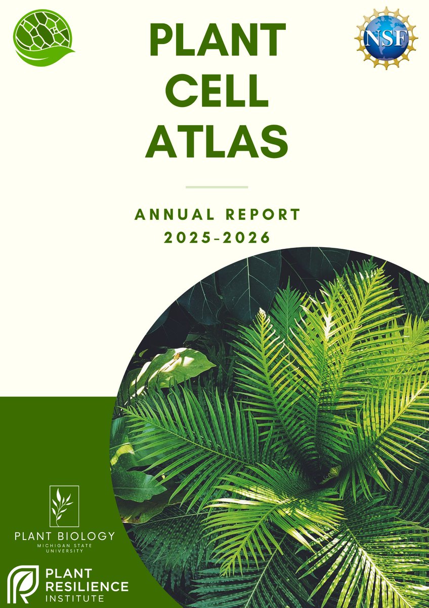 CellAtlas's tweet photo. We are excited to share the PCA 2025-2026 Annual Report!  

From scientific breakthroughs to a growing global community, this annual report highlights the achievements that are advancing our mission.

Explore the Report: https://t.co/TQnNLxKH9X https://t.co/PX0SKfABGP
