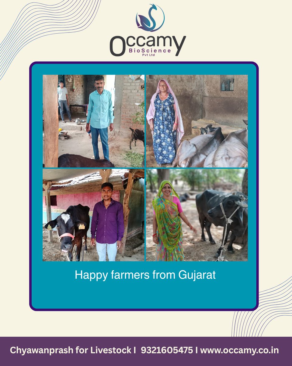 occamy_nutra's tweet photo. 🚀 Exciting results from our Gujarat field trials! Farmers reported higher milk yield, better fertility, and stronger livestock—another step toward transforming animal health with science-backed nutrition. 🐄🌱 #Livestock #AnimalHealth 
@SocialAlphaIN https://t.co/SkpiDJRebu
