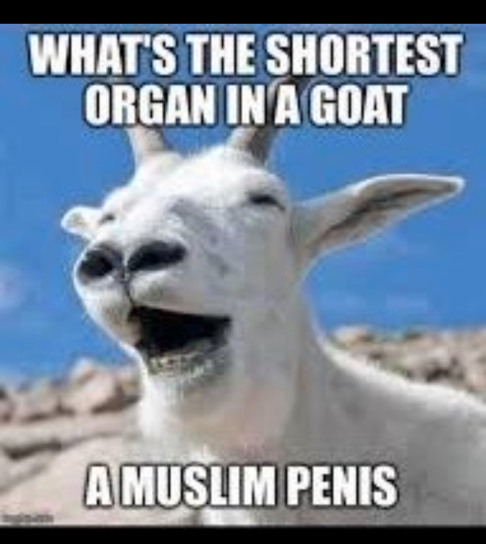 bigIrishdogs's tweet photo. @Alinavisoo_life Dead prophet… https://t.co/uV1FiOIkkX