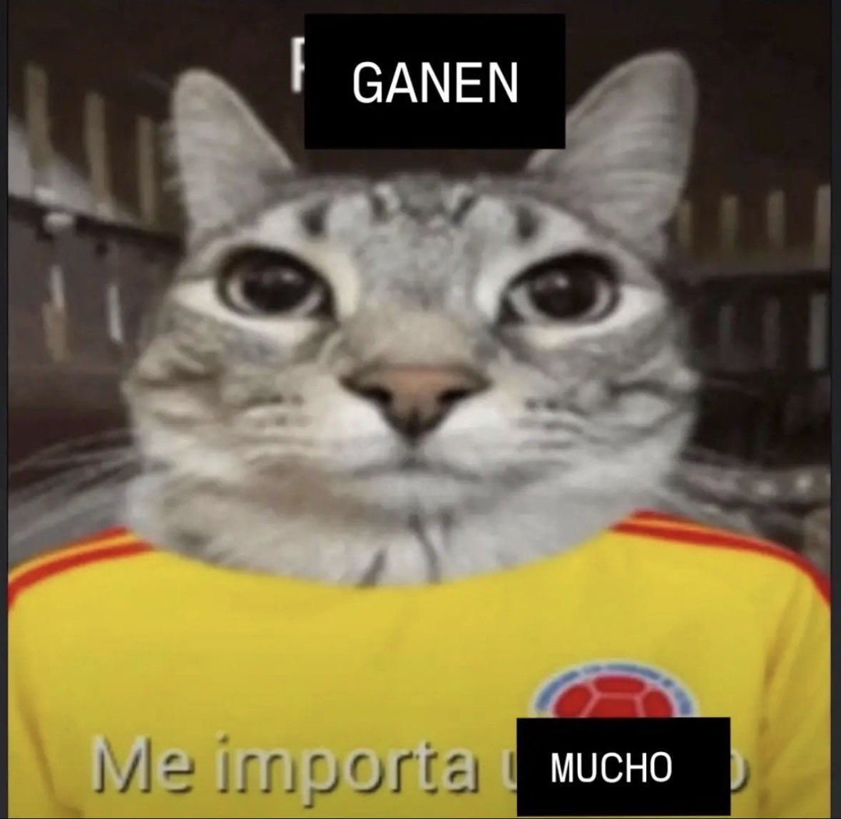 Dizzy_Vy's tweet photo. @FCFSeleccionCol VAMOSSS HPTA https://t.co/P8Ze1m5c2X