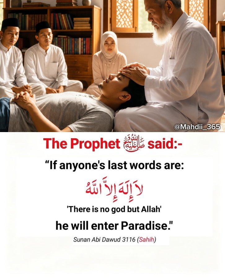 Mahdii_365's tweet photo. The Prophet (ﷺ) said: https://t.co/carGITL1qj