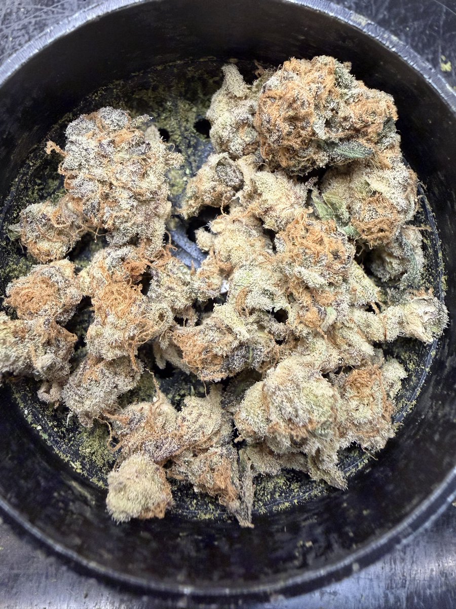 iluvjoints2003's tweet photo. love admiring my beautiful gorgeous rudeboi og before i roll it up lol https://t.co/CBme3IdGwT