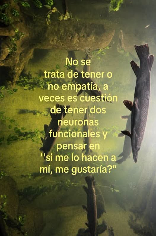nxstypxet's tweet photo. https://t.co/zVHStc1SHR