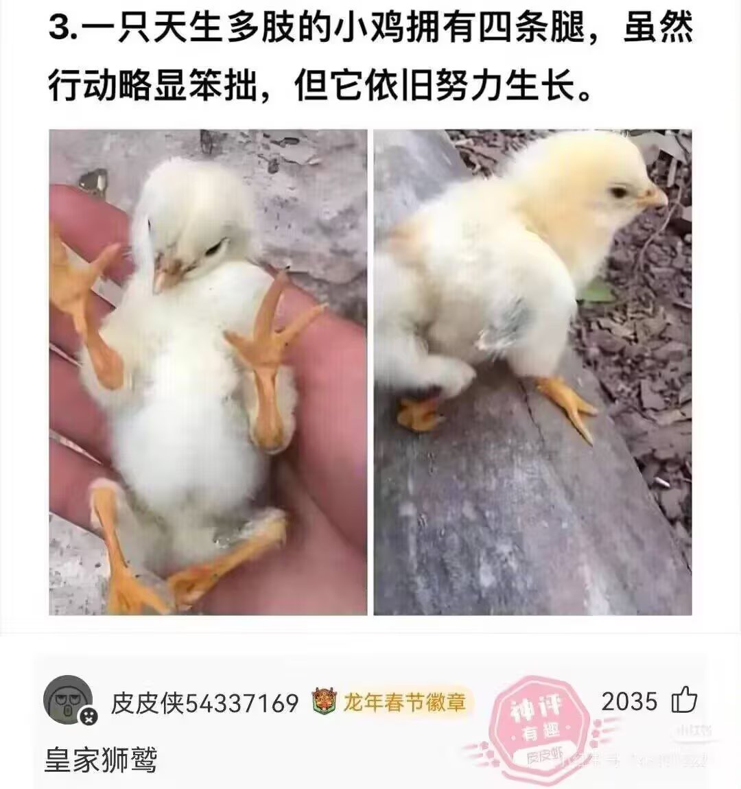 YunJiu's tweet photo. https://t.co/BUm0R9hZ5U