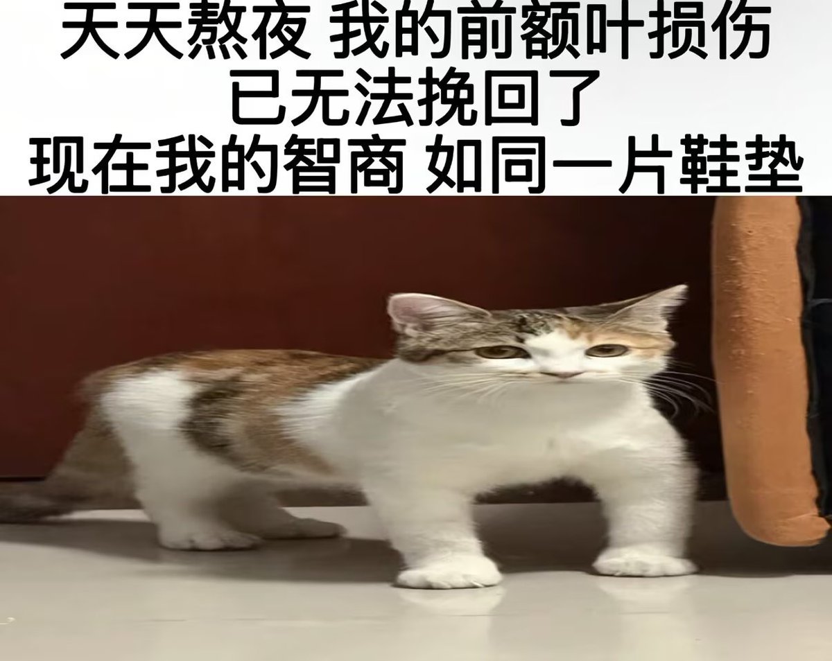 YunJiu's tweet photo. https://t.co/8QNwiHsJAJ