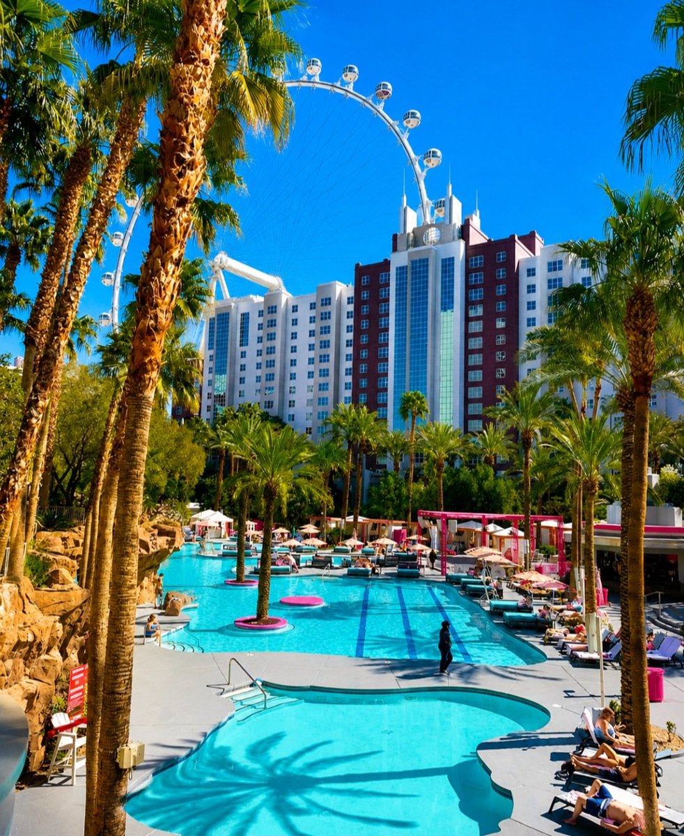 SCVegas's tweet photo. One word to describe the Flamingo pool... Go! 🌴☀️ https://t.co/YhF0y6RTgG