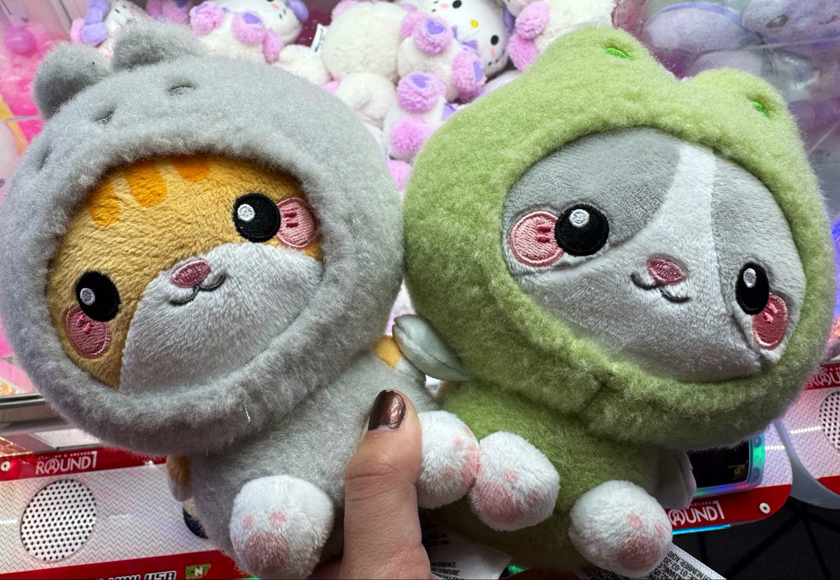 Buffpup_'s tweet photo. I won my kitties 🧡🧡 https://t.co/XkZLzYBVkX